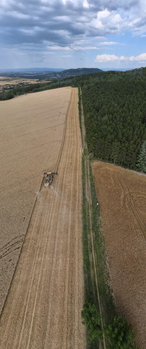 DJI_3641.JPG